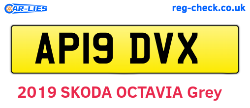 AP19DVX are the vehicle registration plates.