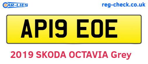 AP19EOE are the vehicle registration plates.