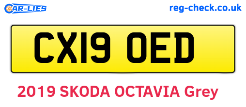 CX19OED are the vehicle registration plates.