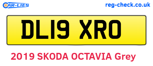 DL19XRO are the vehicle registration plates.