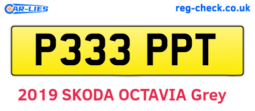 P333PPT are the vehicle registration plates.