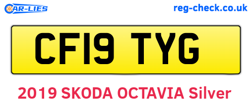 CF19TYG are the vehicle registration plates.