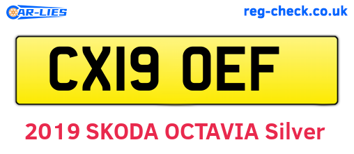 CX19OEF are the vehicle registration plates.