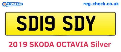 SD19SDY are the vehicle registration plates.