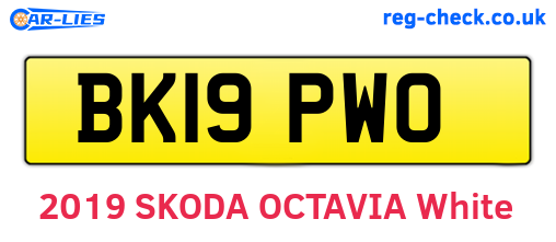 BK19PWO are the vehicle registration plates.