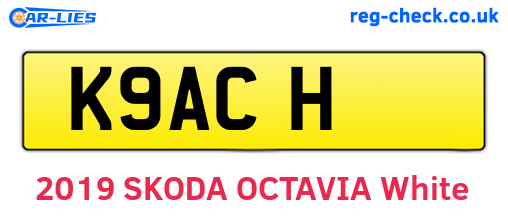 K9ACH are the vehicle registration plates.