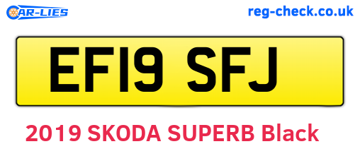 EF19SFJ are the vehicle registration plates.