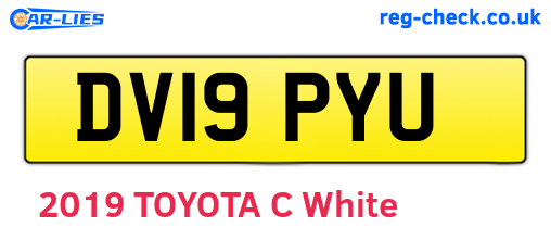 DV19PYU are the vehicle registration plates.