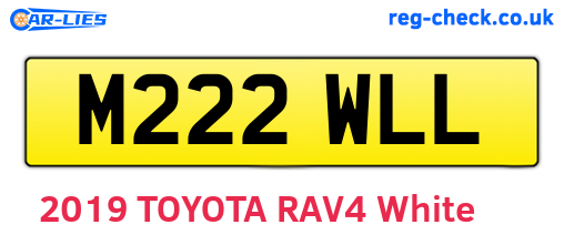 M222WLL are the vehicle registration plates.