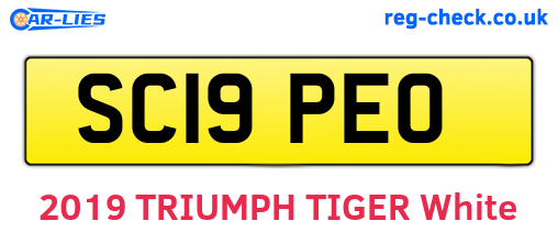SC19PEO are the vehicle registration plates.