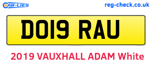 DO19RAU are the vehicle registration plates.
