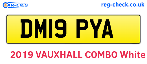 DM19PYA are the vehicle registration plates.