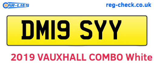 DM19SYY are the vehicle registration plates.