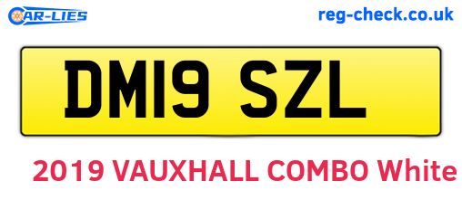 DM19SZL are the vehicle registration plates.