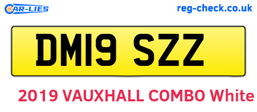 DM19SZZ are the vehicle registration plates.