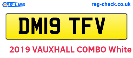 DM19TFV are the vehicle registration plates.