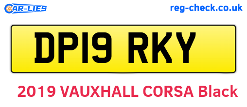 DP19RKY are the vehicle registration plates.