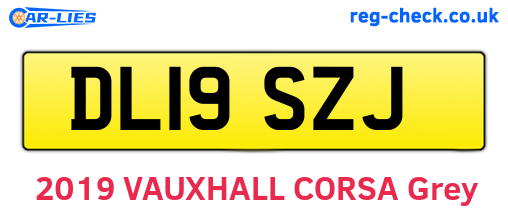 DL19SZJ are the vehicle registration plates.