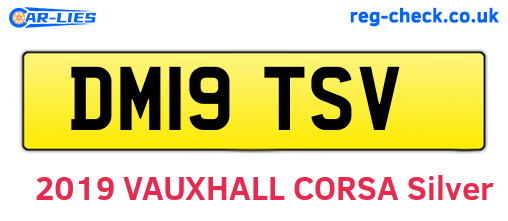 DM19TSV are the vehicle registration plates.