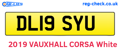 DL19SYU are the vehicle registration plates.