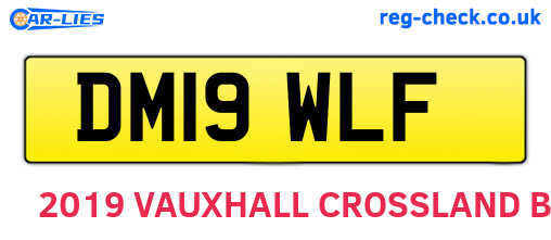 DM19WLF are the vehicle registration plates.