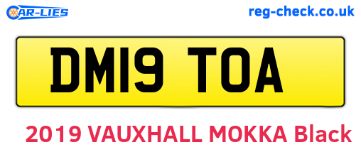 DM19TOA are the vehicle registration plates.