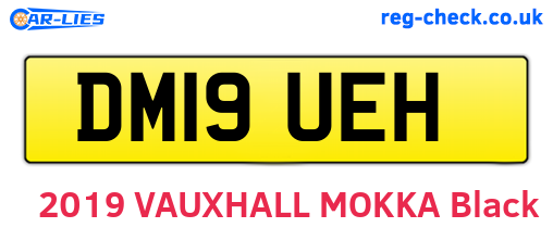 DM19UEH are the vehicle registration plates.