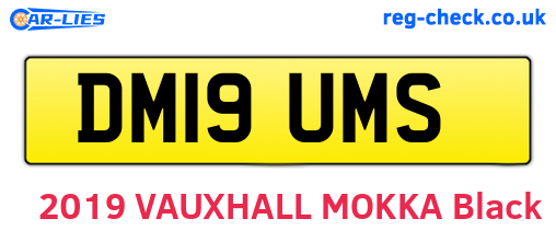 DM19UMS are the vehicle registration plates.