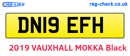 DN19EFH are the vehicle registration plates.