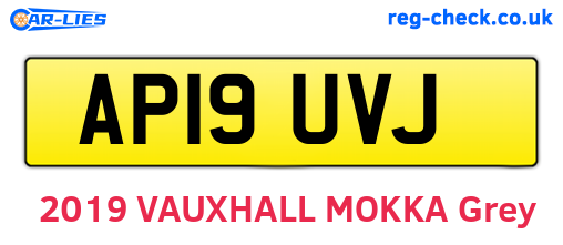 AP19UVJ are the vehicle registration plates.