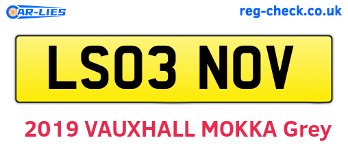 LS03NOV are the vehicle registration plates.