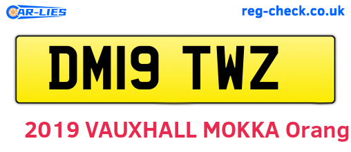 DM19TWZ are the vehicle registration plates.