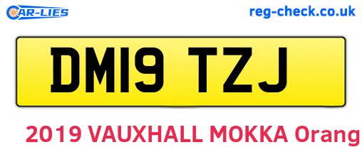DM19TZJ are the vehicle registration plates.