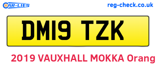 DM19TZK are the vehicle registration plates.