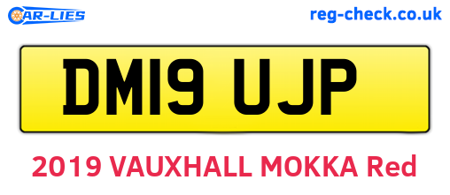 DM19UJP are the vehicle registration plates.
