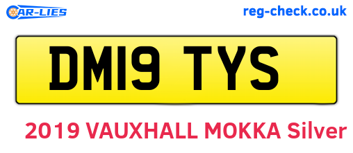 DM19TYS are the vehicle registration plates.