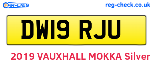 DW19RJU are the vehicle registration plates.