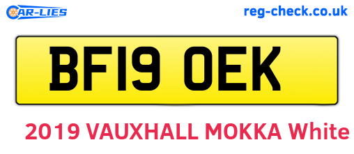 BF19OEK are the vehicle registration plates.