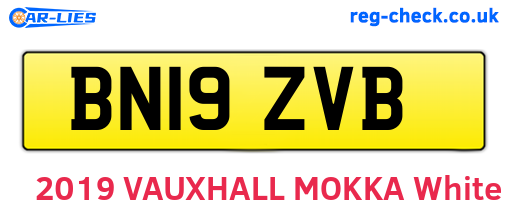 BN19ZVB are the vehicle registration plates.