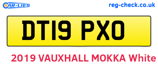 DT19PXO are the vehicle registration plates.
