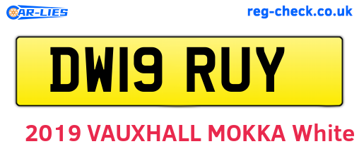 DW19RUY are the vehicle registration plates.