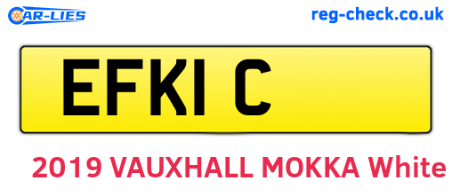 EFK1C are the vehicle registration plates.
