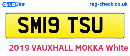 SM19TSU are the vehicle registration plates.