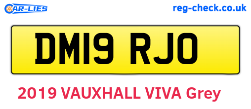DM19RJO are the vehicle registration plates.