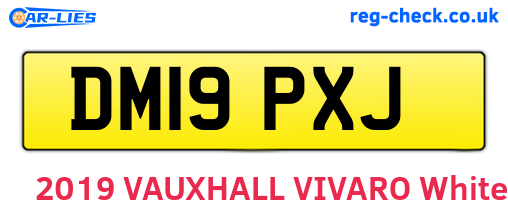 DM19PXJ are the vehicle registration plates.