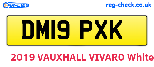 DM19PXK are the vehicle registration plates.