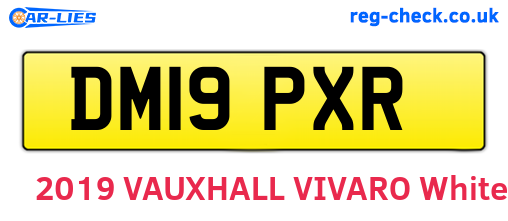 DM19PXR are the vehicle registration plates.