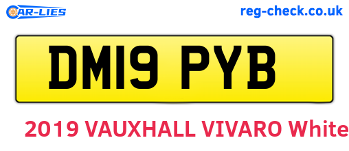 DM19PYB are the vehicle registration plates.