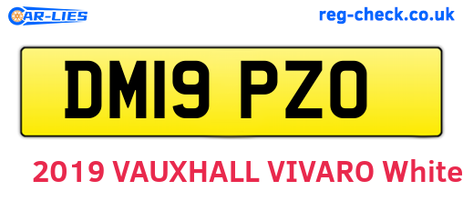 DM19PZO are the vehicle registration plates.