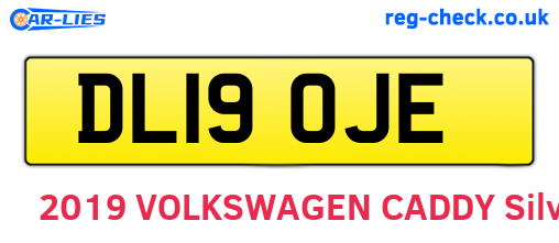 DL19OJE are the vehicle registration plates.